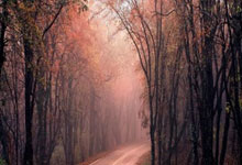 蓝鲸体育：弗罗因德：三分才是关键；国际比赛日后重新进入状态很重要.