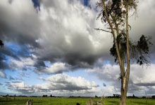 蓝鲸体育：德天空：如果哈维-西蒙斯决定离开，莱比锡要价8000万欧.