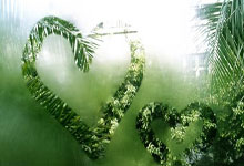 蓝鲸体育：德约100冠悬了？19岁天才狂轰25记ace淘汰弗里茨，决赛要阻击德约.