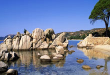 [澳网]张帅组合晋级混双16强 袁悦组合止步女双第二轮.